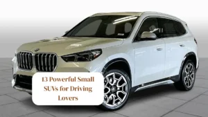 13 Powerful Small SUVs for Driving Lovers